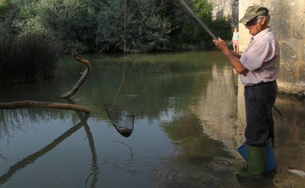 Pescador de cangrejos en el acueducto del río Abánades, entre Osorno (Palencia) y Melgar de Fernamental (Burgos).