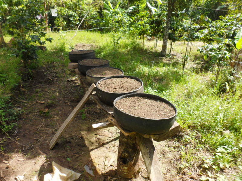 La ONG Amycos ha comenzado la ejecución de su proyecto de mejora de las condiciones de habitabilidad y de salud de familias vulnerables en la comunidad indígena de La Lima - Los Limones en Nicaragua.