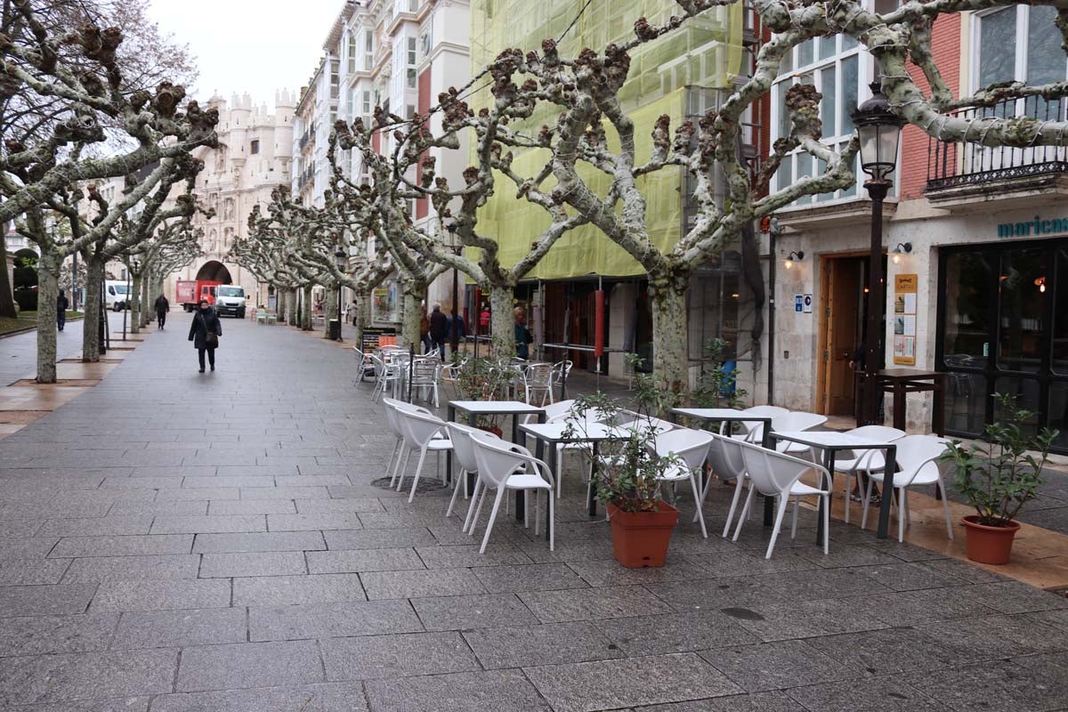 A pesar de las peatonalizaciones abordadas en las últimas décadas en el centro histórico de la ciudad, cientos de vehículos campan a sus anchas cada mañana por ellas.