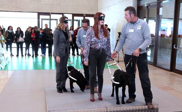 La presidenta de las Cortes, Silvia Clemente, y la consejera de Familia e Igualdad de Oportunidades, Alicia García participan en las Cortes en la exhibición de perros guía organizada por la ONCE.