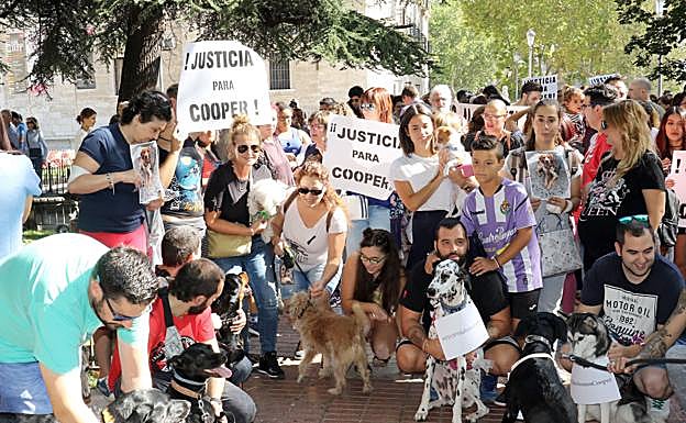 Concentración de repulsa por la muerte del perro Cooper en Santovenia de Pisuerga (Valladolid). 