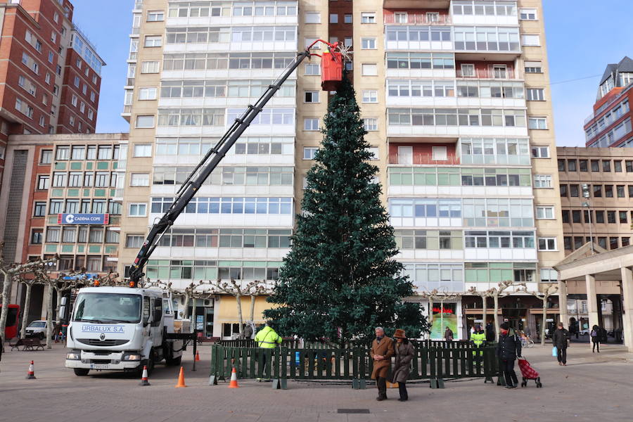 Fotos: Desmontando la Navidad