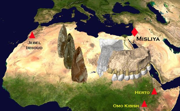 Laura Rodríguez documentó la primera salida de África del homo sapiens. 