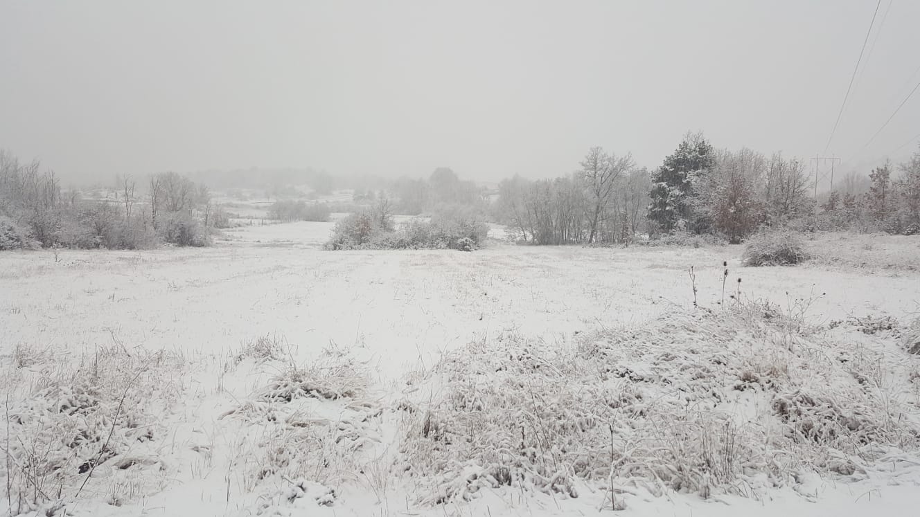 Fotos: La nieve pinta la provincia