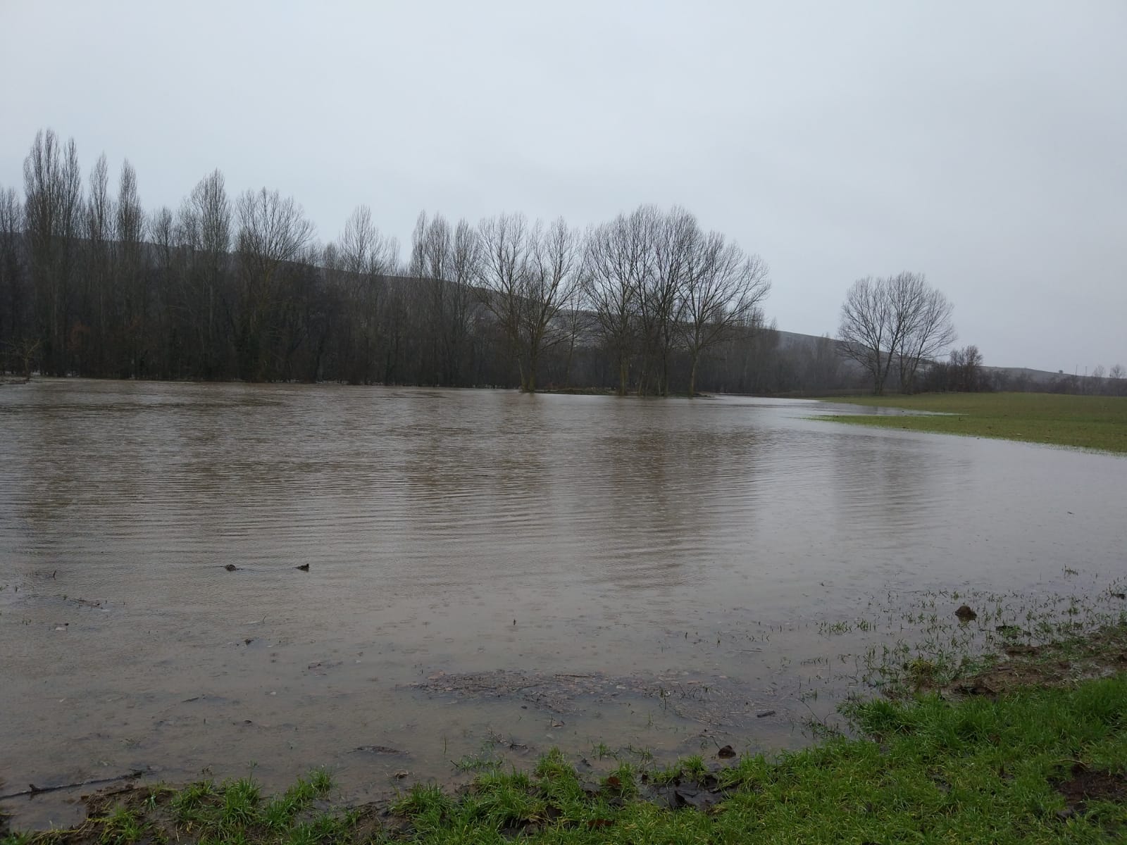 Fotos: El Nela se desborda en Villarcayo e inunda calles, carreteras y edificios