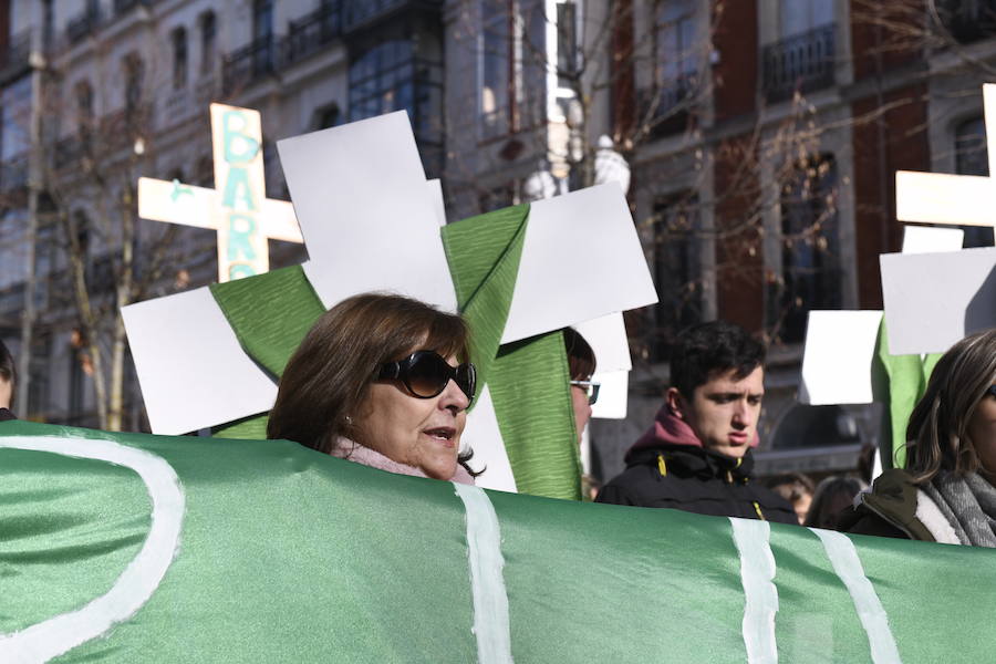 Fotos: Manifestación en Valladolid en defensa de la sanidad pública de Castilla y León