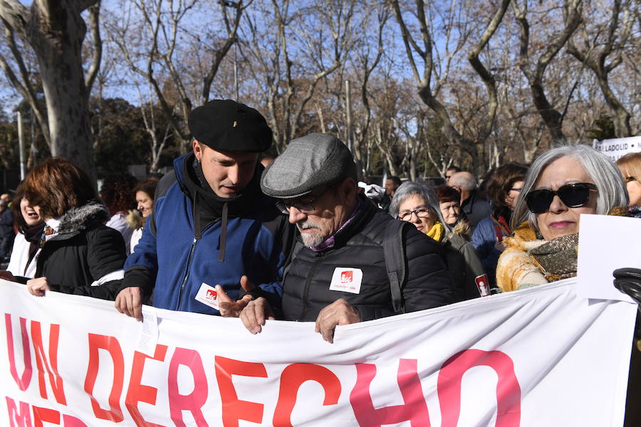 Fotos: Manifestación en Valladolid en defensa de la sanidad pública de Castilla y León