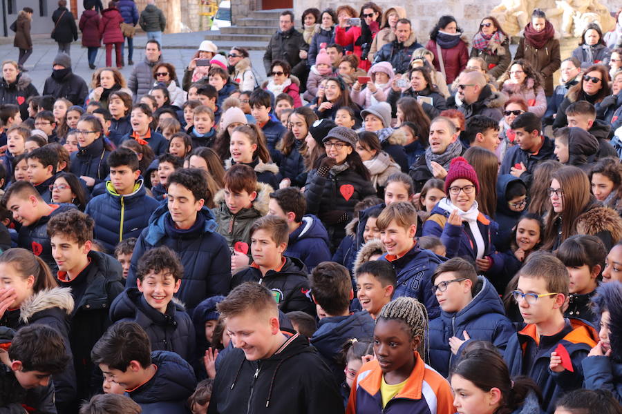 Fotos: Los alumnos del colegio Nuestra de Saldaña y LA Salle celebran el Día de la Paz y la No Violencia