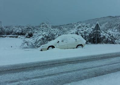 Imagen secundaria 1 - Masa (arriba), Quintanar (izquierda) y Palacios de la SIerra (derecha)