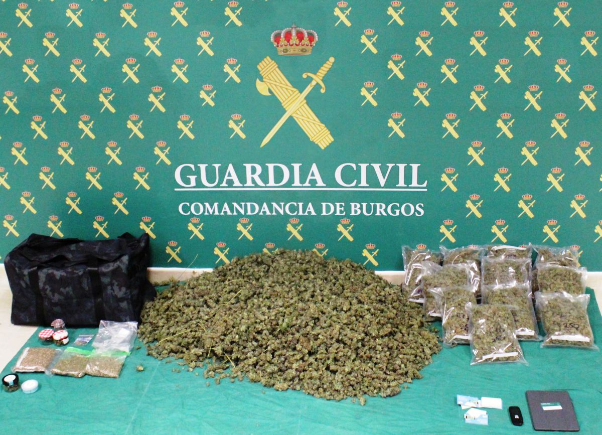 La Guardia Civil desmantela uno de los laboratorios de cultivo de marihuana más grandes y profesionales de los últimos años.