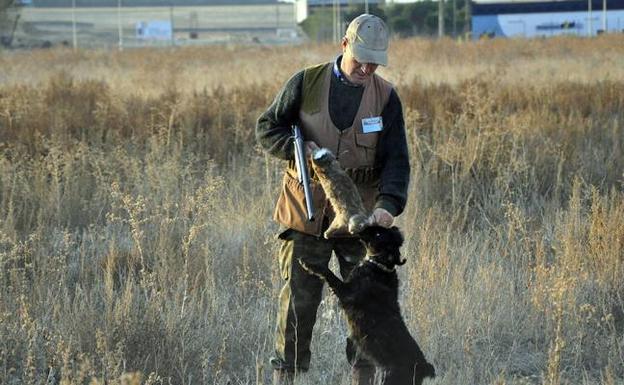 Un cazador y su perro, tras haber cogido a un conejo.