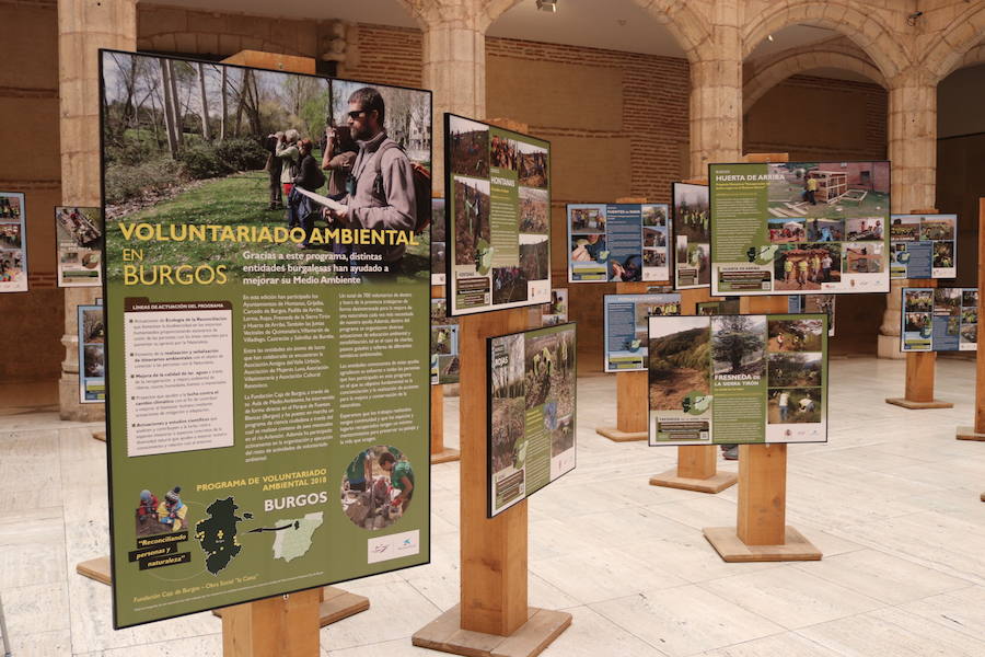 Fotos: LA exposición sobre Voluntariado Ambiental en la Casa del Cordón, en imágenes