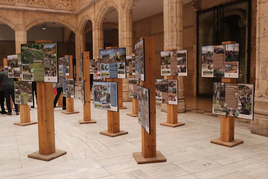 Fotos: LA exposición sobre Voluntariado Ambiental en la Casa del Cordón, en imágenes