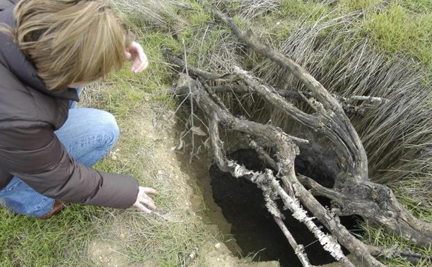 Boca del subterráneo donde se encuentra la fosa.