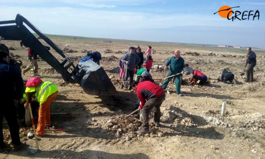 Fotos del trabajo de la ING conservacionista GREFA en la provincia de Burgos. El proyecto Monachus se desarrolla en Huerta de Arriba donde se quiere reintroducir el buitre negro. En VIllafruela se lucha contra la plaga de topillos con aves rapaces depredadoras.