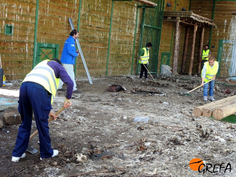 Fotos del trabajo de la ING conservacionista GREFA en la provincia de Burgos. El proyecto Monachus se desarrolla en Huerta de Arriba donde se quiere reintroducir el buitre negro. En VIllafruela se lucha contra la plaga de topillos con aves rapaces depredadoras.