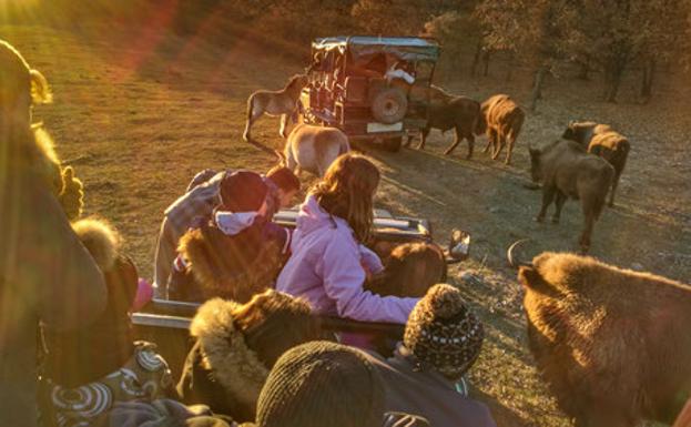 Safari en jeep por Paleolítico Vivo. 