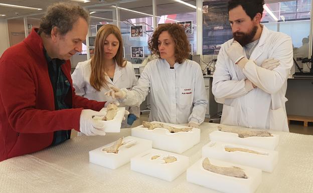 Laboratorio de Conservación y Restauración. 