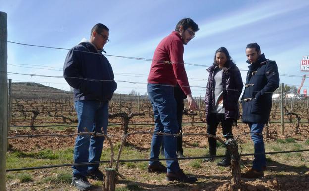 Grupo de mexianos durante su visita a los viñedos de la Ribera del Duero. 