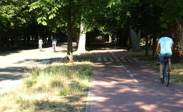 La rehabilitación del parque de la Quinta también mejorará el carril bici existente.