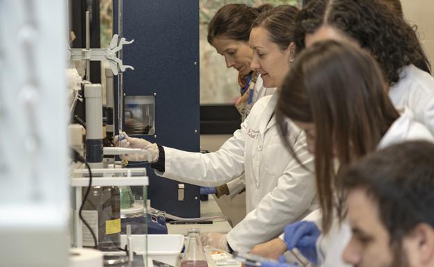 Prácticas presenciales en el Laboratorio de Nutrición Humana y Dietética. 