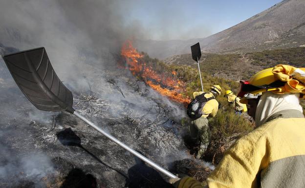 Una cuadrilla trabaja en la extinción de un incendio.