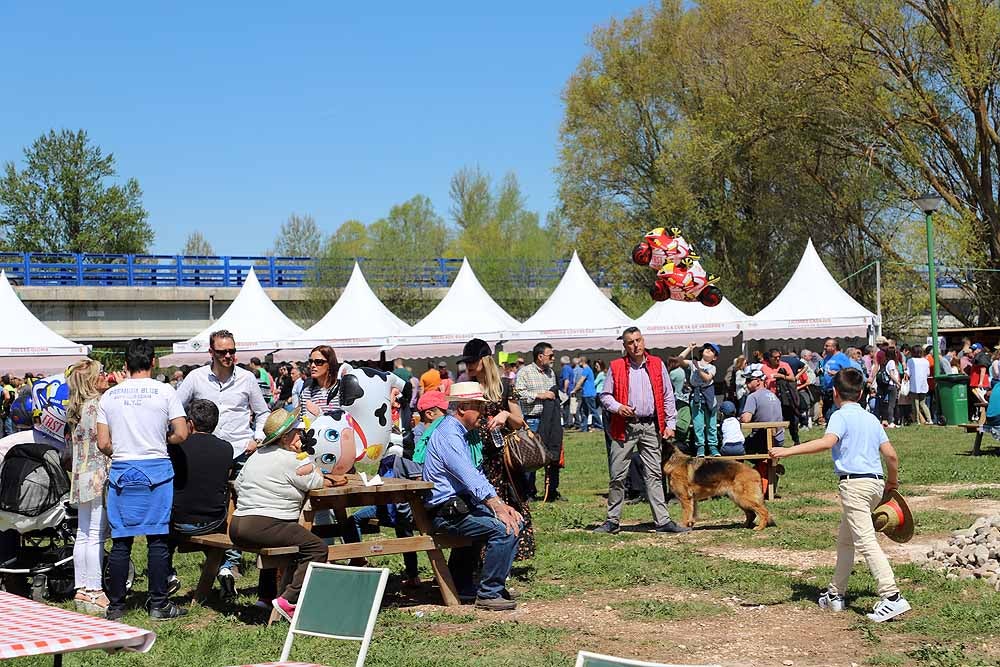 La Villa Ducal de Lerma vive, hasta el próximo 3 de mayo, su Feria de Maquinaria Agrícola con 175 expositores y un buen tiempo que ha llenado de visitantes el recinto ferial en su primera jornada