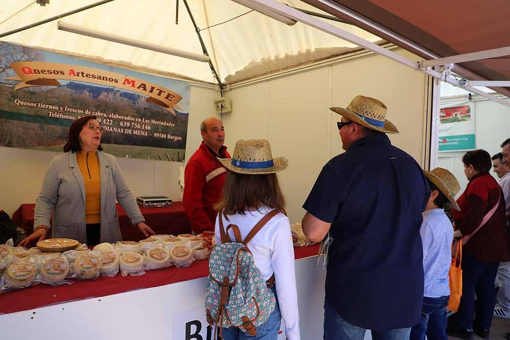 La Villa Ducal de Lerma vive, hasta el próximo 3 de mayo, su Feria de Maquinaria Agrícola con 175 expositores y un buen tiempo que ha llenado de visitantes el recinto ferial en su primera jornada