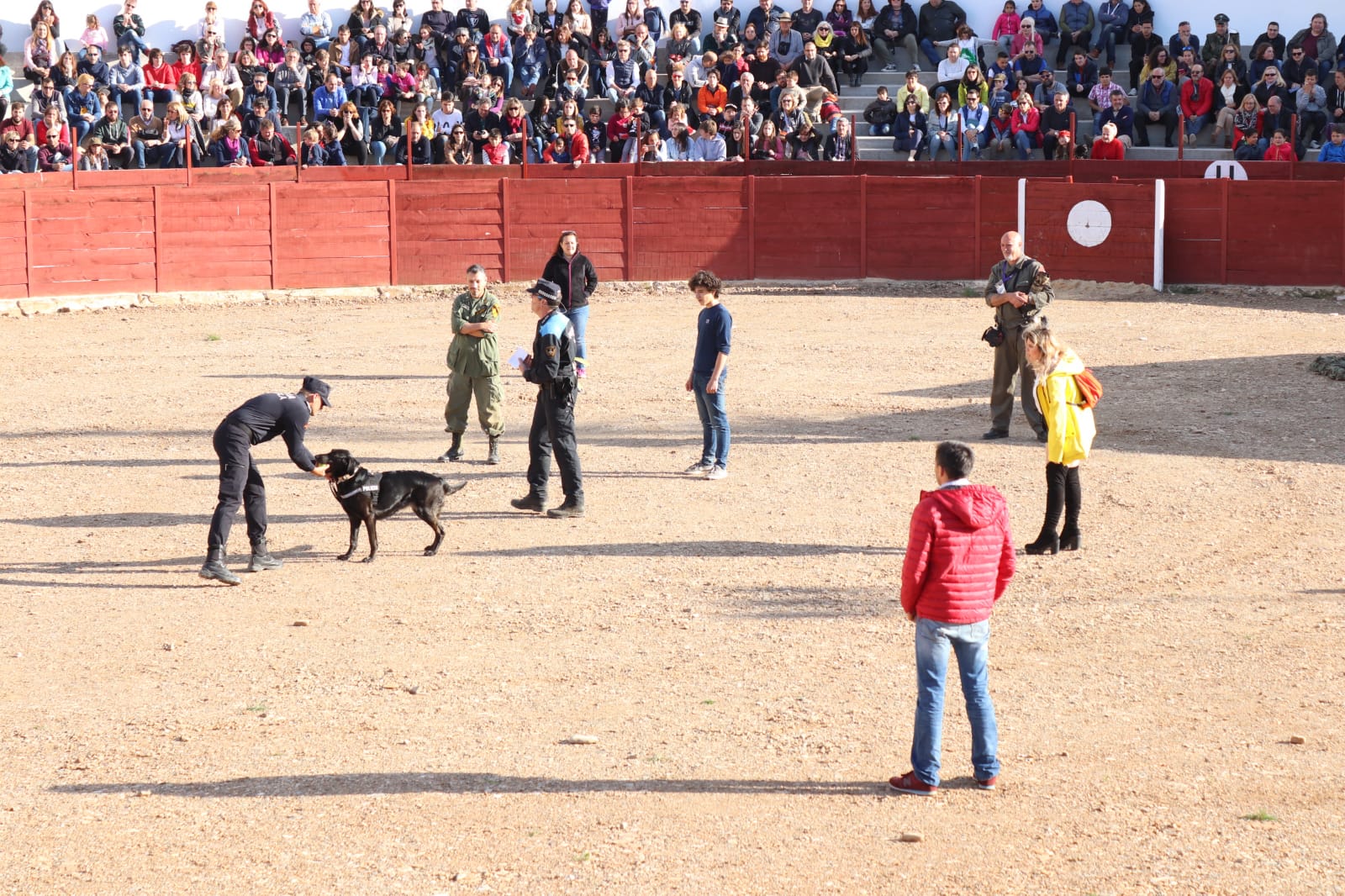 Fotos: Recreación dinámica de la II Guerra Mundial durante la IV Expohistórica de Belorado.