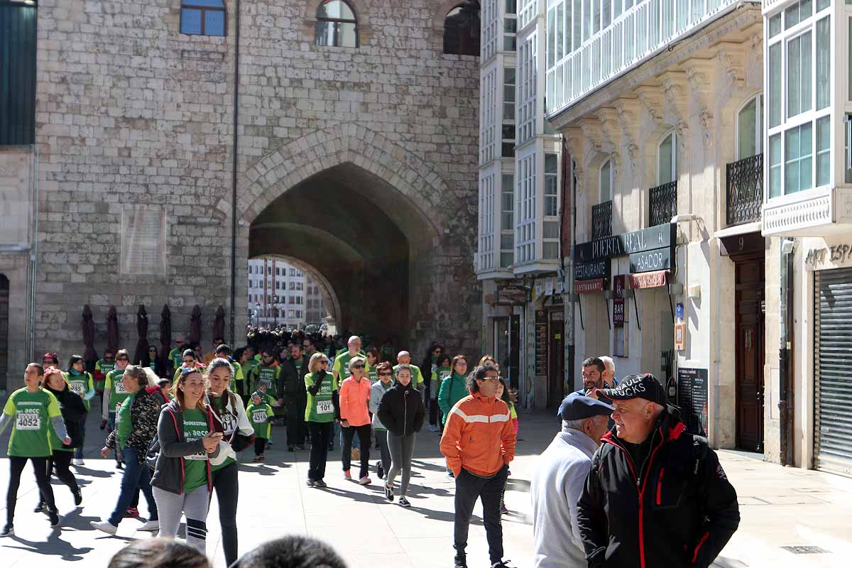 Miles de burgaleses participan en la I Marcha Contra el Cáncer de Burgos, que agota los dorsales