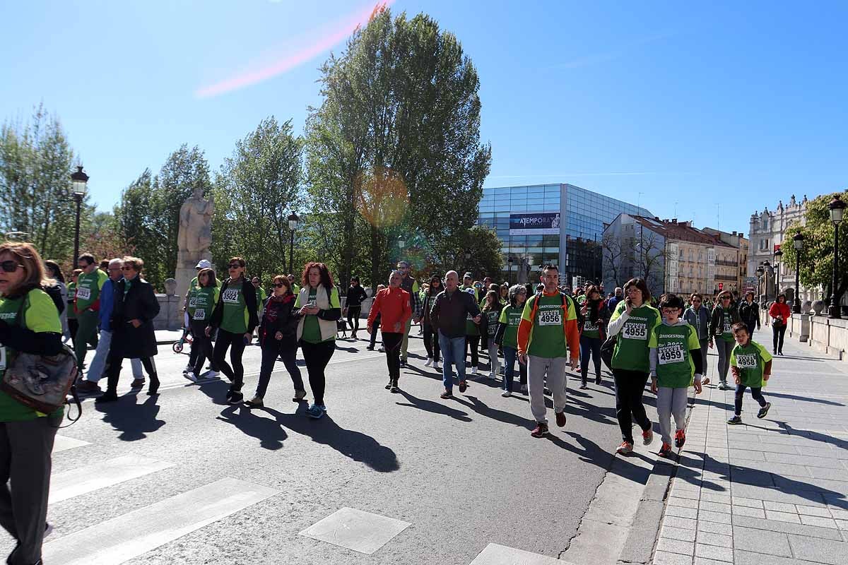 Miles de burgaleses participan en la I Marcha Contra el Cáncer de Burgos, que agota los dorsales