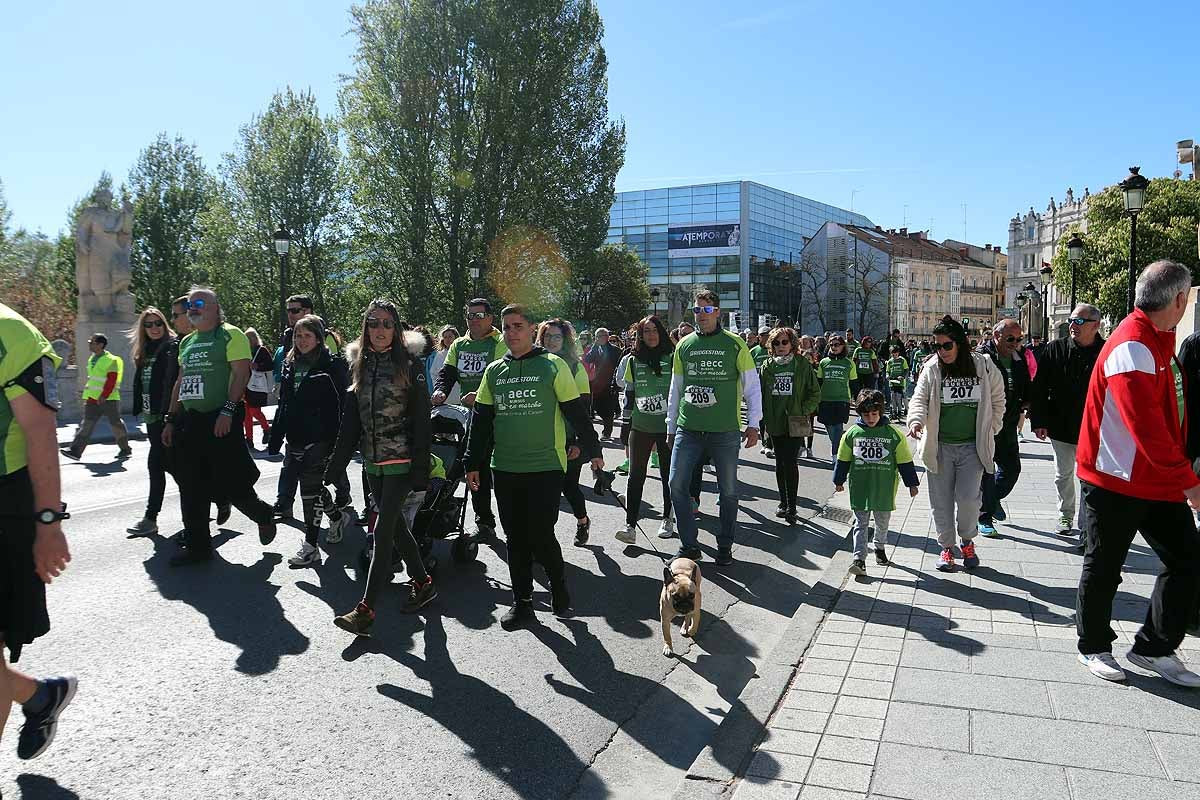 Miles de burgaleses participan en la I Marcha Contra el Cáncer de Burgos, que agota los dorsales