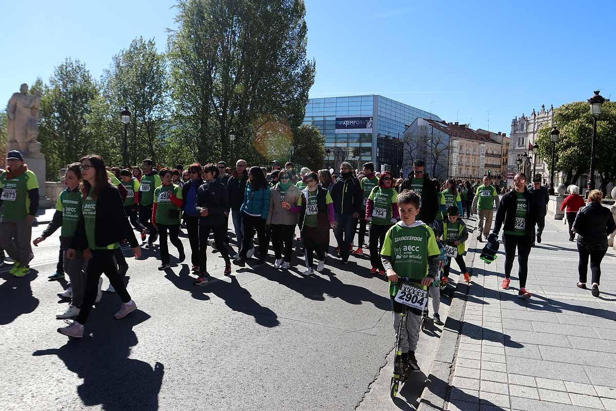 Miles de burgaleses participan en la I Marcha Contra el Cáncer de Burgos, que agota los dorsales
