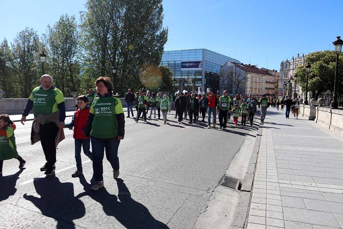 Miles de burgaleses participan en la I Marcha Contra el Cáncer de Burgos, que agota los dorsales