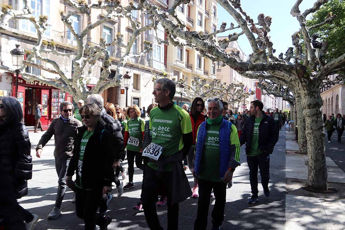 Miles de burgaleses participan en la I Marcha Contra el Cáncer de Burgos, que agota los dorsales