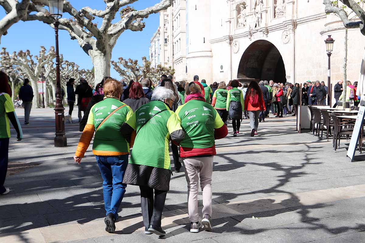 Miles de burgaleses participan en la I Marcha Contra el Cáncer de Burgos, que agota los dorsales
