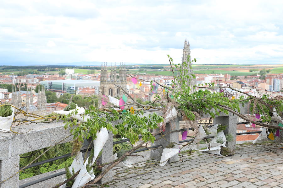 Las flores llenarán de color el centro de la ciudad de Burgos durante todo el fin de semana con motivo de la séptima edición de la Fiesta de las Flores.