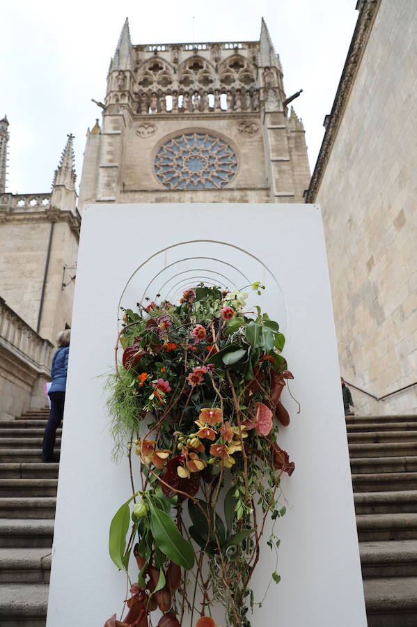 Las flores llenarán de color el centro de la ciudad de Burgos durante todo el fin de semana con motivo de la séptima edición de la Fiesta de las Flores.