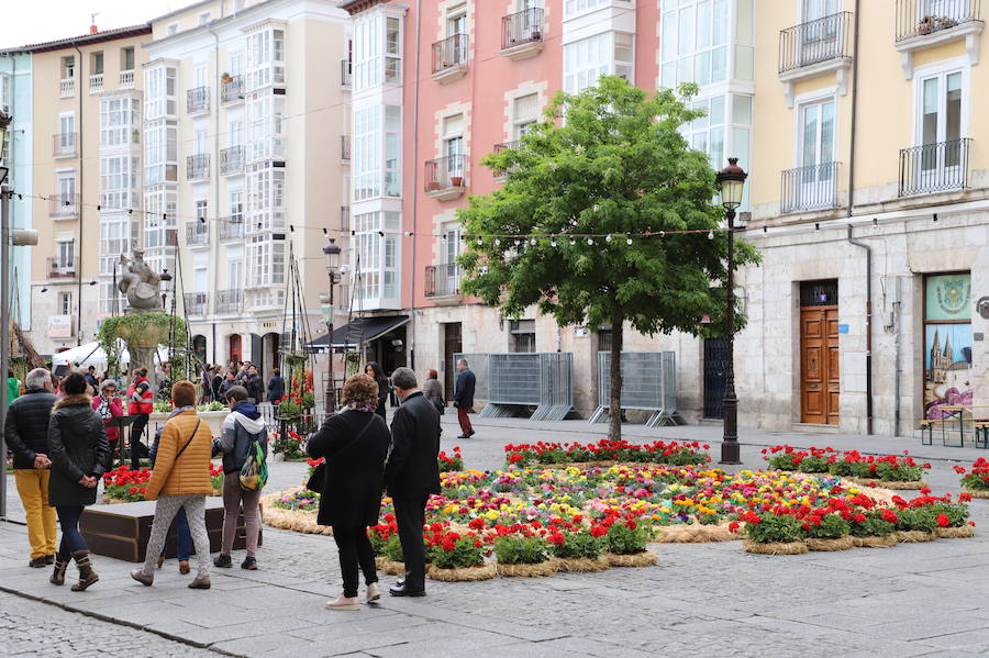 Las flores llenarán de color el centro de la ciudad de Burgos durante todo el fin de semana con motivo de la séptima edición de la Fiesta de las Flores.