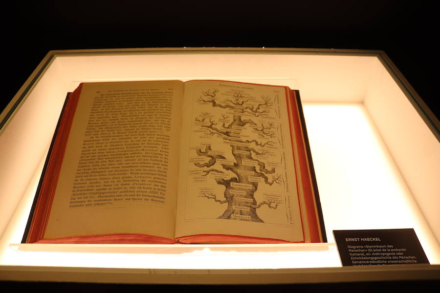 Fotos: Imágenes de la exposición &#039;Más allá de 2001:Odiseas de la inteligencia&#039;