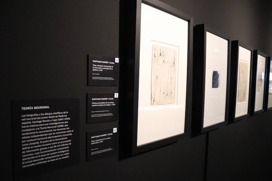 Fotos: Imágenes de la exposición &#039;Más allá de 2001:Odiseas de la inteligencia&#039;