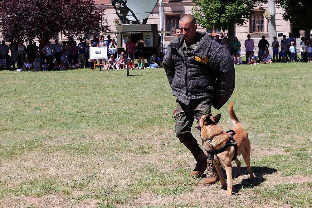 Las unidades militares de Burgos y la Guardia Civil han celebrado el Día de las Fuerzas Armadas con una exhibición de equipamiento y material militar y talleres para grandes y pequeños