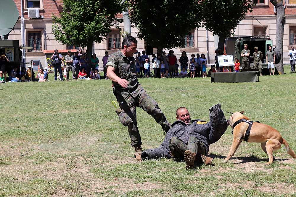 Las unidades militares de Burgos y la Guardia Civil han celebrado el Día de las Fuerzas Armadas con una exhibición de equipamiento y material militar y talleres para grandes y pequeños