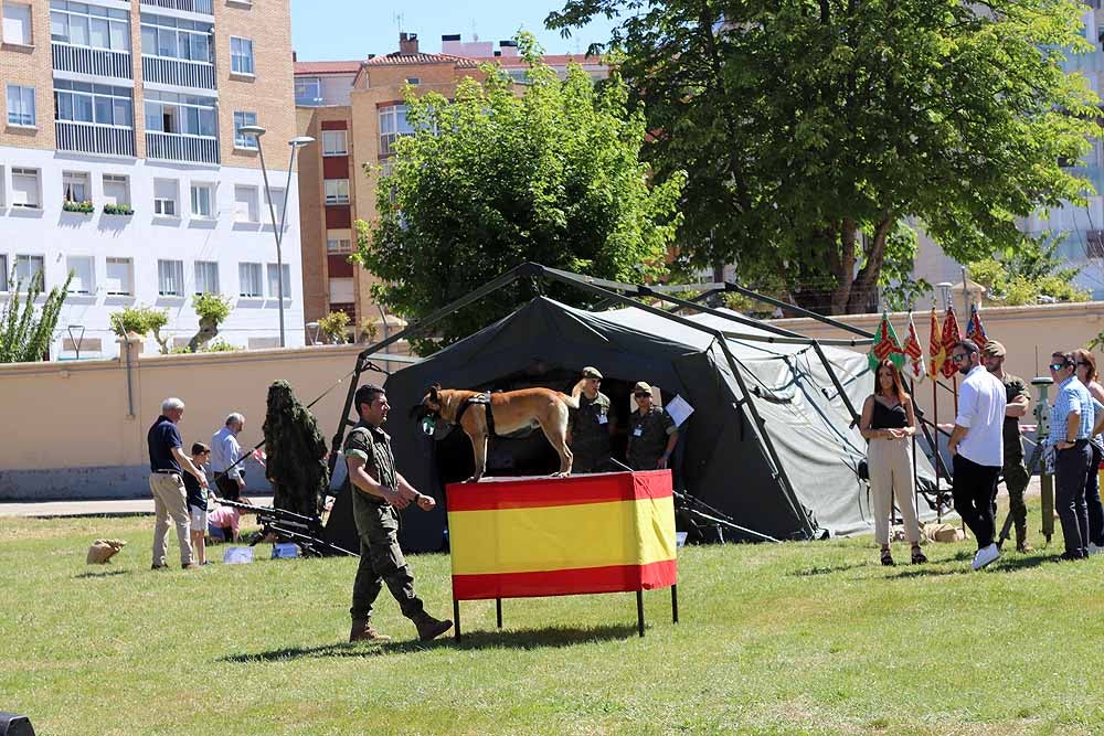 Las unidades militares de Burgos y la Guardia Civil han celebrado el Día de las Fuerzas Armadas con una exhibición de equipamiento y material militar y talleres para grandes y pequeños