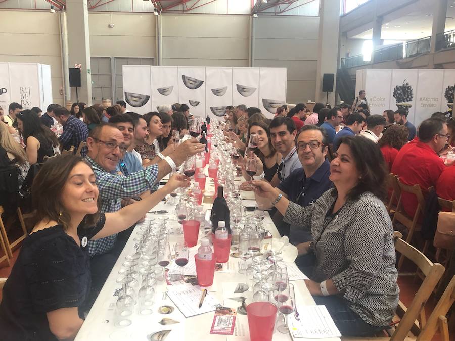 La capital de la Ribera acoge este sábado los Premios Envero, con 1.000 catadores que eligen entre 220 caldos de la DO Ribera del Duero