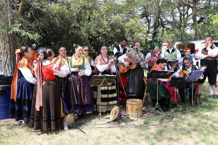 Fotos: Las mejores imágenes de la Romería de Nuestra Señora de la Blanca