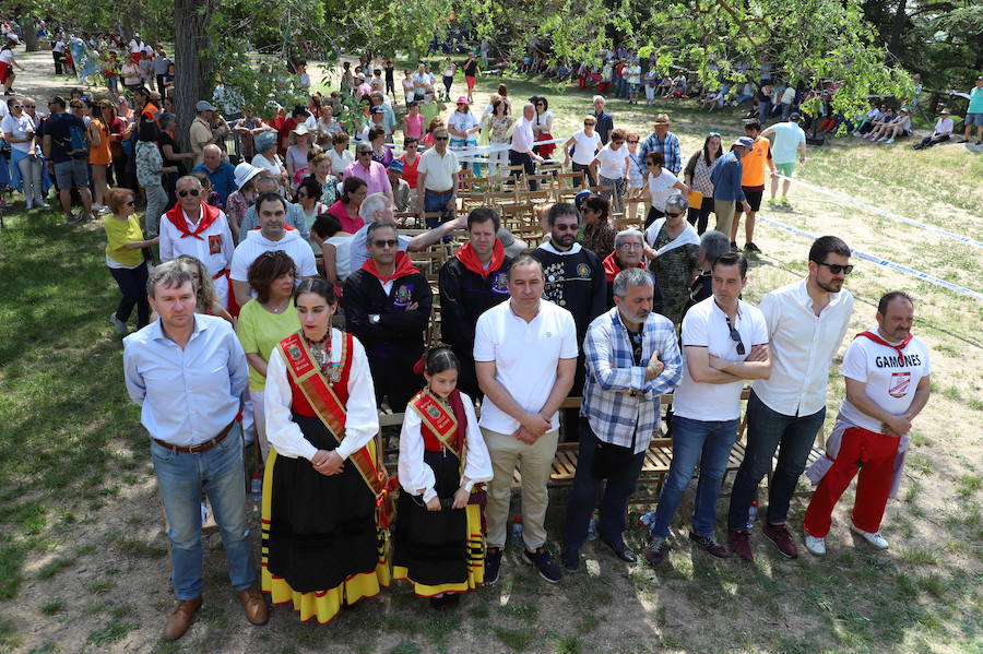 Fotos: Las mejores imágenes de la Romería de Nuestra Señora de la Blanca