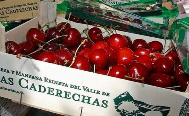 Cerezas del valle de las Caderechas.