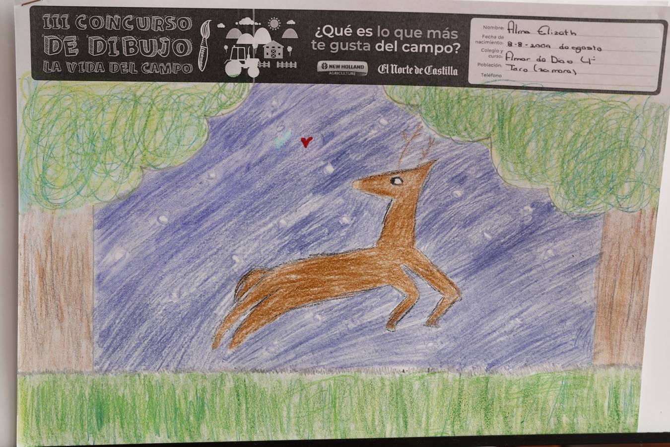 Fotos: Trabajos de 4º de Primaria en la modalidad de dibujo del III Concurso de Dibujo y Cómic &#039;La vida del campo&#039;