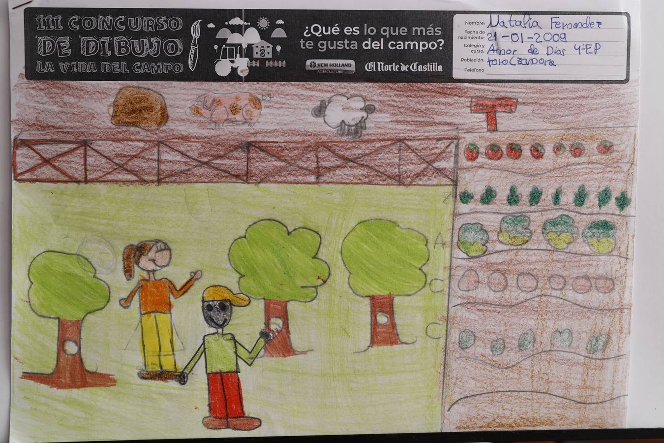 Fotos: Trabajos de 4º de Primaria en la modalidad de dibujo del III Concurso de Dibujo y Cómic &#039;La vida del campo&#039;